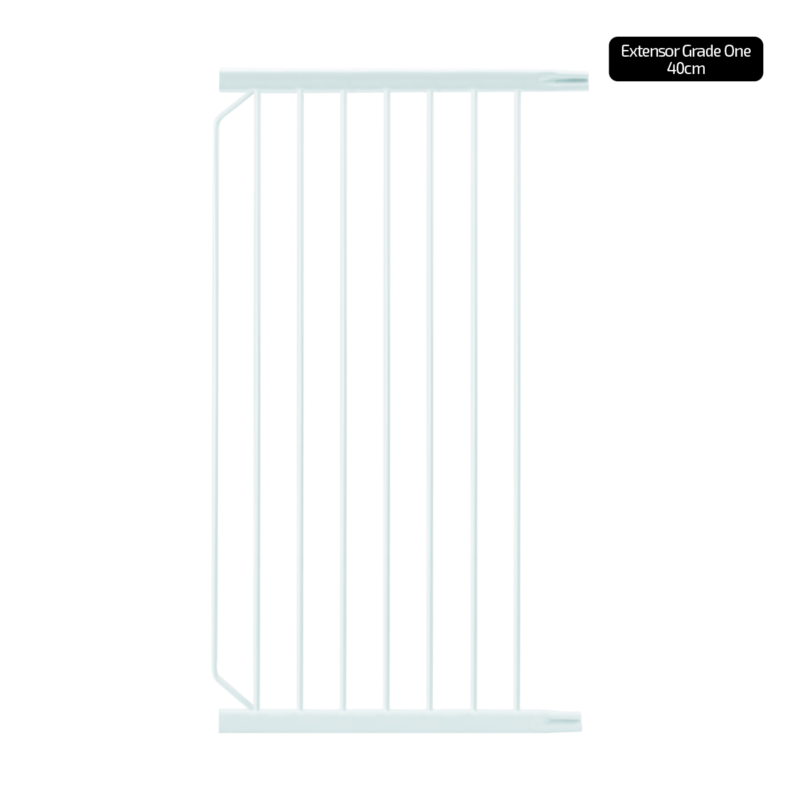 Extensor Grade One [40] [LEGENDA]