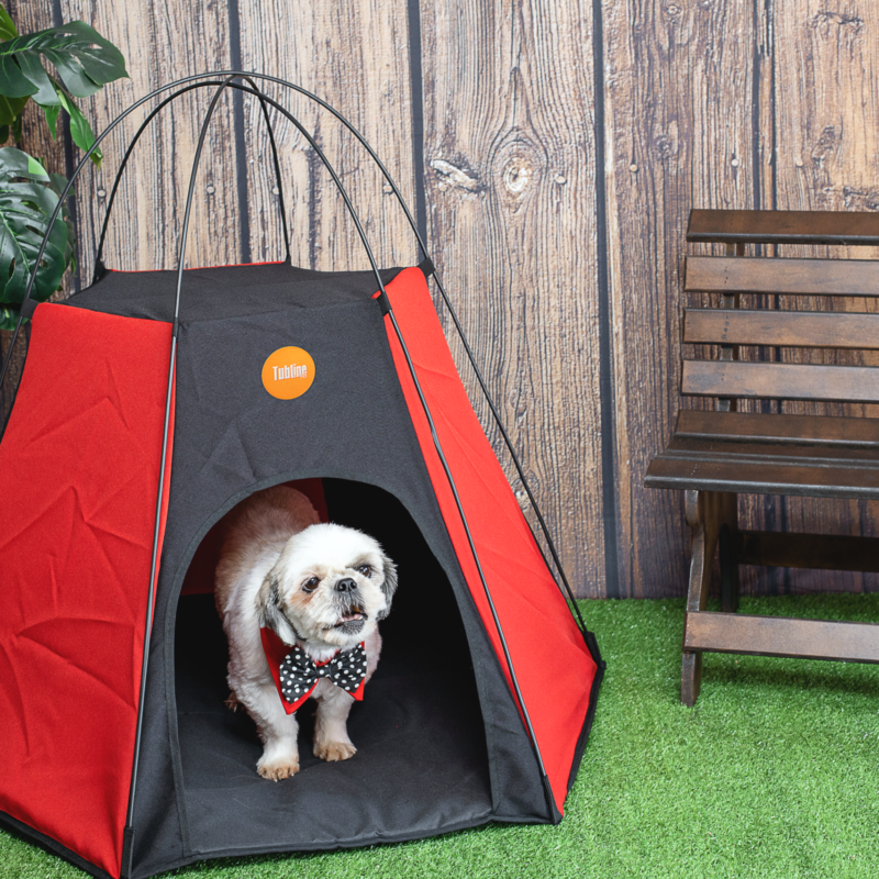 Tenda Pet Camping